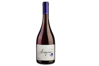 (CHILE) 3397 - Amayna Pinot Noir