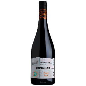 5136 - Cartagena Pinot Noir