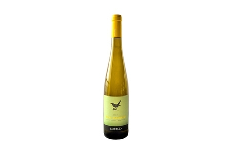 4998 - Bico Amarelo (Vinho Verde)
