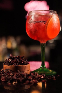 Gin Ton Hibisco