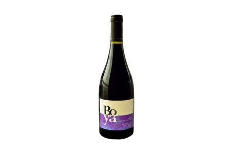 5587 - BOYA Syrah