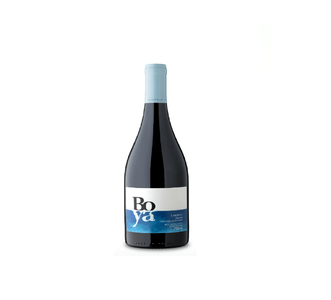 5662 - BOYA Cabernet Franc